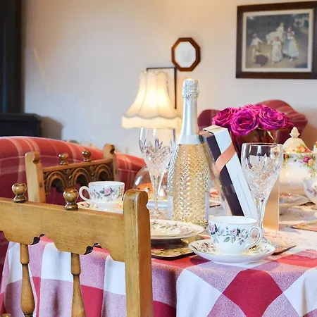 Rambling Rose- Lwg Ireby