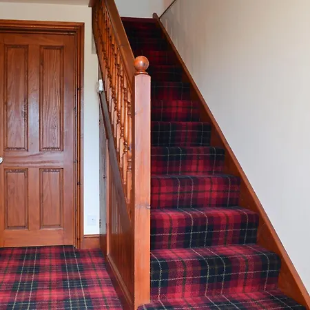 Rambling Rose- Lwg Ireby