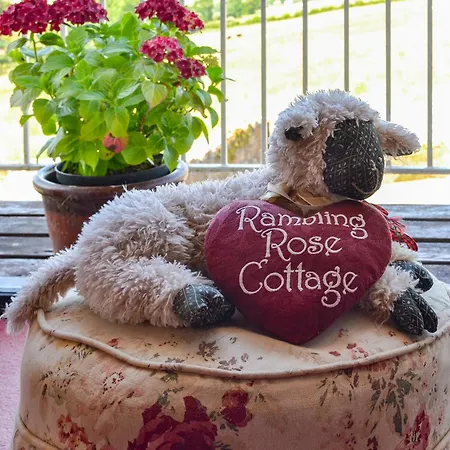 Rambling Rose- Lwg فندق